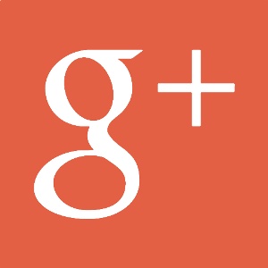 Google+ icon